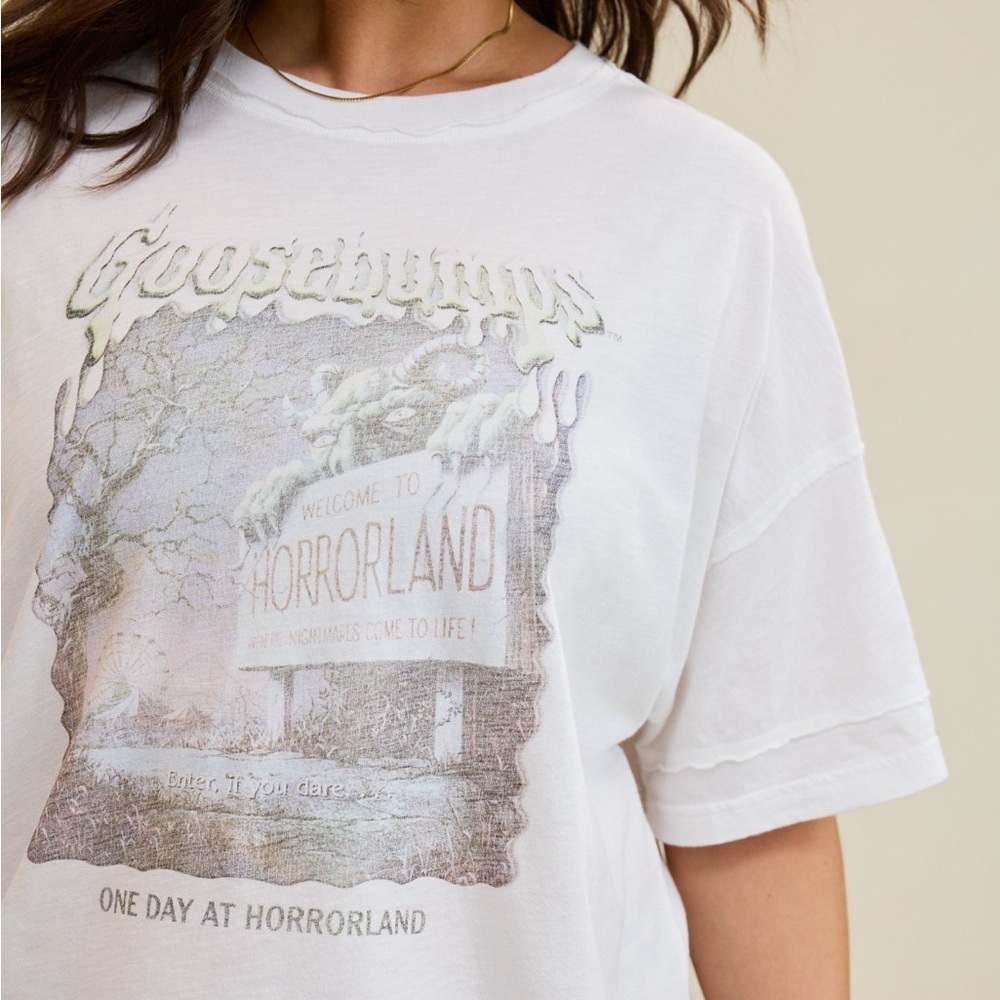Aerie Oversized Crew Boyfriend T-Shirt (L)